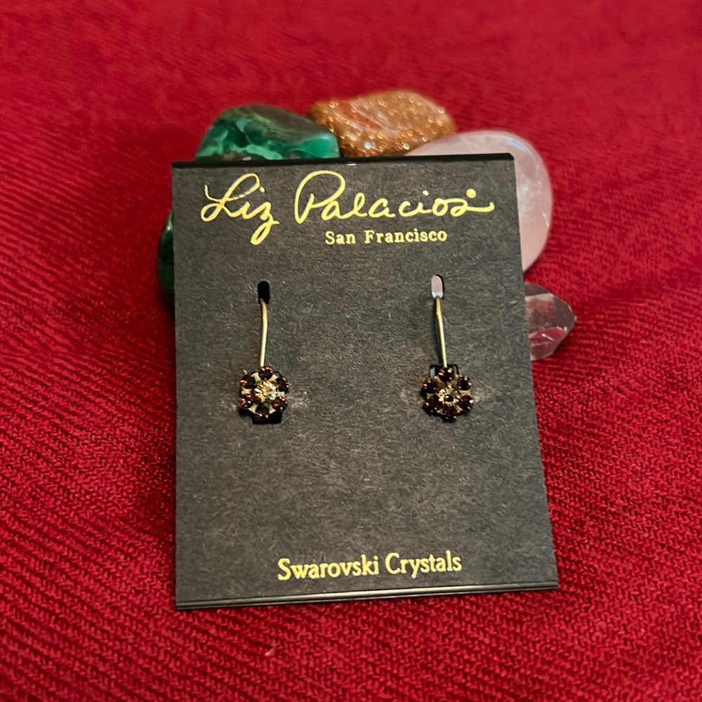 Liz Palacioz earrings